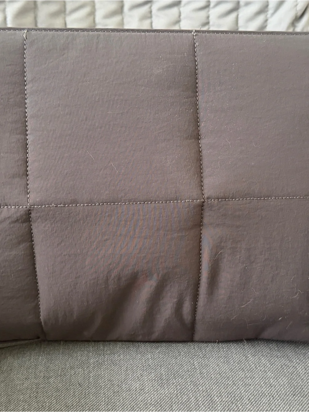 LuxSoft Quilted Pillow Sham - Brown